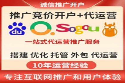 某某SEM服务公司成功案例：从数据出发的营销策略